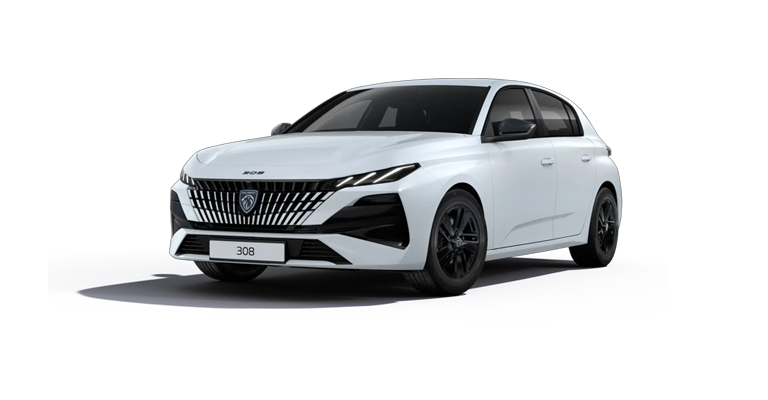 Peugeot 308 a Torino